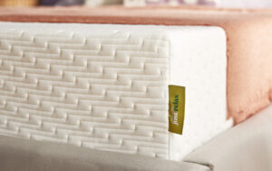 Read more about the article Silentnight Just Relax 3 Zone Foam Mattress Review