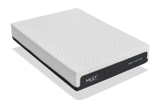 Mlily Bamboo+ Superb Ortho Memory 2500 Pocket Mattress, Double